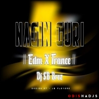 Bin Wala Re (Neo Edm Tapori Sambalpuri Remix) DJ SB Broz.mp3