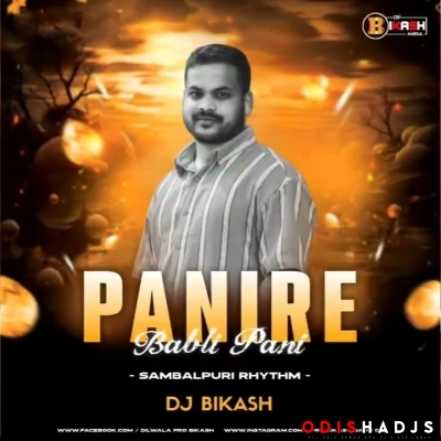 PANI RE BABLI PANI (PRIVATE Ut TAPORI STYLE) DJ BIKASH.mp3