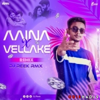 Aaina X Vellake (Reverb) Dj Reek.mp3