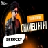 CHAMELI HI HI (TAPORI EDM MIX) DJ ROCKY