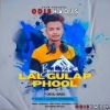 Lal Gulap Phool Bechei Debi ( Premium Devil Bass ) Dj Liku X Dj Odisha Professional Boys