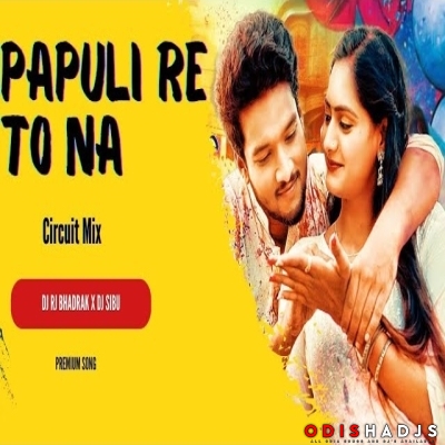 Papulire To Naa (Circuit Mix) Dj Rj Bhadrak.mp3