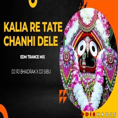 Kalia Re Tate Chanhi Dele (Edm Trance Mix) Dj Rj Bhadrak X Dj Sibu.mp3