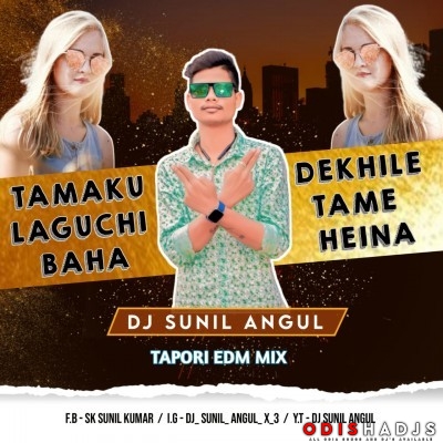 Tamaku Dekhile Laguchi Tame Baha Heina ( Tapori Edm Mix ) Dj Sunil Angul.mp3