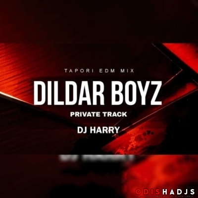 DILDAR BOYZ PRIVATE TRACK (NAUGHTY BASS MIX) DJ HARRY.mp3