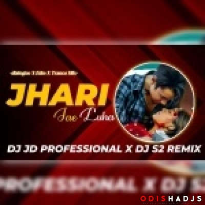 Jhari Jae Luha (Edm Mix)dj Jd Professional.mp3