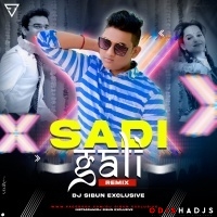 SADI GALI(REMIX)DJ SIBUN EXCLUSIVE.mp3