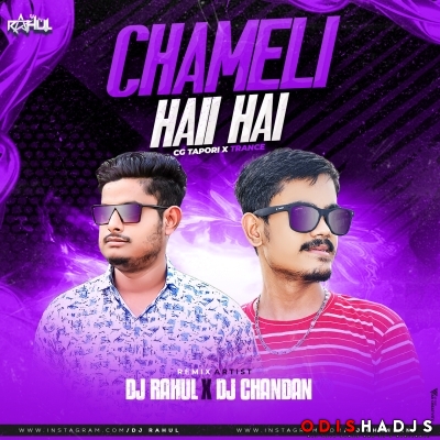 Chameli Hai Hai (Cg Topari Trance Remix ) Dj Rahul X Dj Chandan.mp3