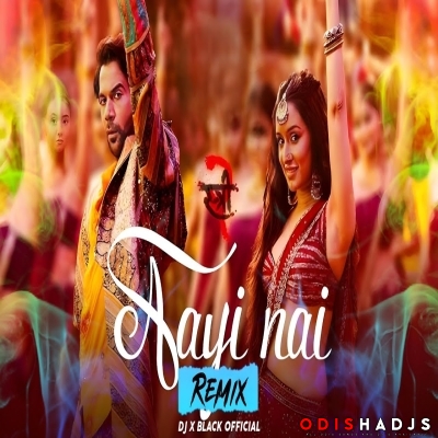 AAYI NAHI STREE 2 (BOLLYWOOD REMIX) DJ X BLACK OFFICIAL.mp3