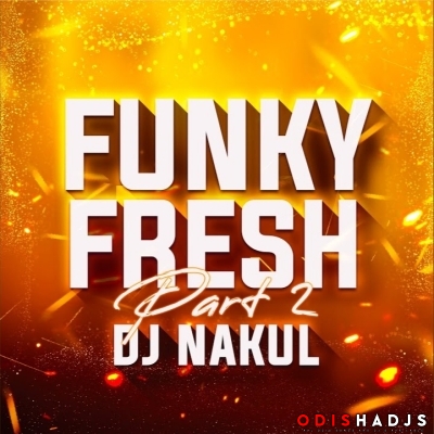 FUNKY FRESH PART2 DJ NAKUL REMIX.mp3