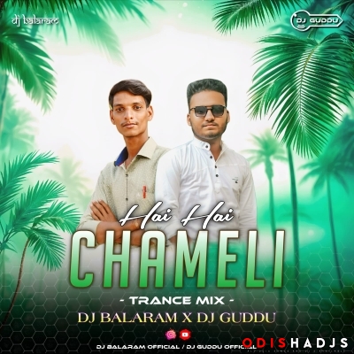 CHAMELI HAI HAI(TAPORI TRANCE MIX)DJ BALARAM X DJ GUDDU.mp3