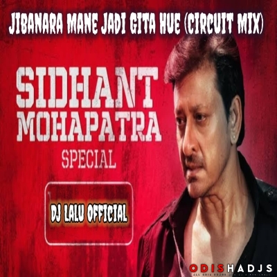 Jibana Ra Mane Jadi Gita Hue (Circuit Remix) DJ Lalu Official.mp3