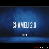 CHAMELI 2.0 - DJ LEX.mp3