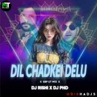 DIL CHADKEI DELU (SBP UT) DJ RISHI PROFESSIONAL X DJ PHD.mp3
