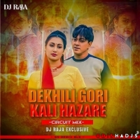 DEKHILI GORI KALI HAJARE (CIRCUIT MIX) DJ RAJA.mp3