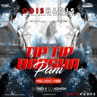 TIP TIP BARSA PANI (MELODIC VIBE) DJ RED X DJ ASHISH.mp3