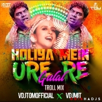 HOLIYA MEIN UDE RE GULAL (TROLL MIX) VDJTOMOFFICIAL X VDJMIT.mp3