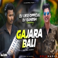 Gajara Bali  l Tribal House Mix l Dj Liku X Dj Ganesh Bbsr.mp3