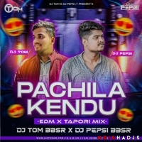 PACHILA KENDU (EDM X TAPORI) DJ TOM BBSR X DJ PEPSI BBSR.mp3