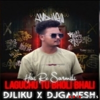 Hai Re Sarmili Laguchu Tu Bholi Bhali (Edm Tapori Mix) Dj Liku X Dj Ganesh.mp3