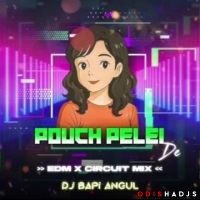 POUCH PILEI DE (CIRCUIT MIX) DJ BAPI ANGUL.mp3