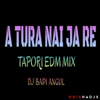 A TURA (TAPORI EDM MIX) DJ BAPI ANGUL.mp3