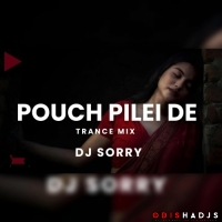 POUCH PELEI DE (FUTURE BASS X TRANCE) DJ SORRY.mp3