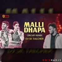 Malli Dhapa -Ananta (Circuit Remix) DJ Sk Talcher 2025.mp3