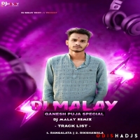 Baghtoy Rikshawala (Circuit Mix) Dj Malaya Bls.mp3
