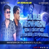 DIL BILEI MEOW MEOW(EDM X CIRCUIT)DJ TOM BBSR X DJ PEPSI BBSR.mp3