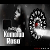 Kamalaa Rasa (Tapori x Tribal Bass) Dj Gunu Nd Dj Mahi Pro