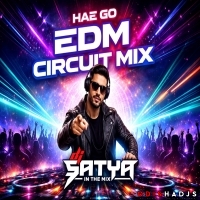HAE GO EDM CIRCUIT MIX DJ STYA.mp3