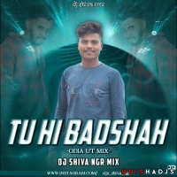 TU HI BADSHAH-DJ SHIBA NGR.mp3