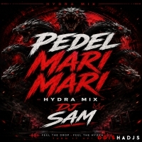 Pedel Mari Mari - Hydra Mix - Dj Sam.mp3