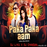 Paka Paka Aam (Purullia Tribal House Mix) Dj Liku X Dj Chandan.mp3