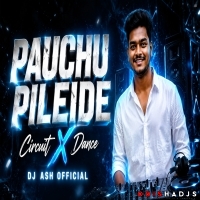 PAUCHU  PILEIDE  (REMIX)  DJ  ASH  OFFICIAL.mp3