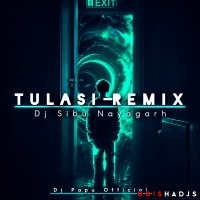 TULASI (SOUND CHECK PSY TRANCE) DJ SIBU X DJ PAPU.mp3