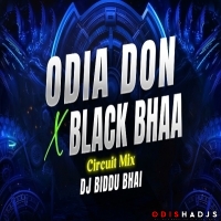 ODIA DON - BLACK BHAA (CIRCUIT MIX) DJ BIDDU BHAI X DJ ROLEX TALCHER.mp3