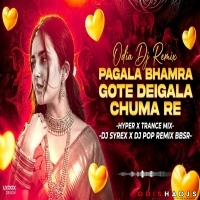 Pagala Bhanra (HYPER x TRANCE) - DJ SYREX.mp3